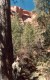 Thumbs/tn_073.Zion Canjon.jpg